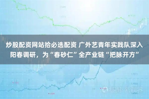 炒股配资网站拾必选配资 广外艺青年实践队深入阳春调研，为“春砂仁”全产业链“把脉开方”