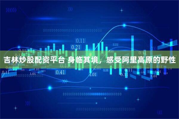 吉林炒股配资平台 身临其境，感受阿里高原的野性