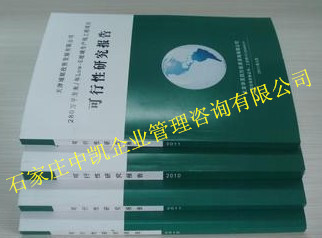 衡水可行性研究报告代写工作那个公司做的最好-钱眼产品