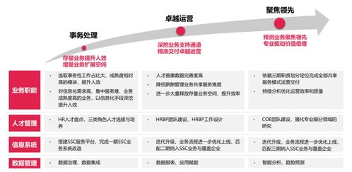 中软国际咨询助力电力制造领军企业构建数字化人才管理新生态